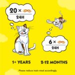 تشویقی دریمیز گربه با طعم پنیر - 60 گرم