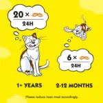 تشویقی گربه با طعم پنیر دریمیز - 60 گرم