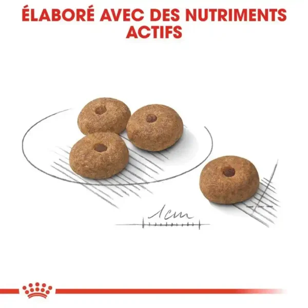 غذای خشک سگ عقیم شده رویال کنین - 3 کیلویی (نژاد کوچک)